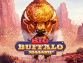 game logo by Skywind Group on wolfcasinoo.com