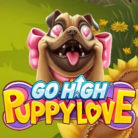 game logo by RubyPlay on wolfcasinoo.com